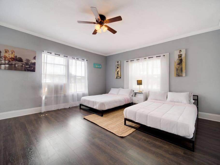 Modern Westshore タンパ エクステリア 写真