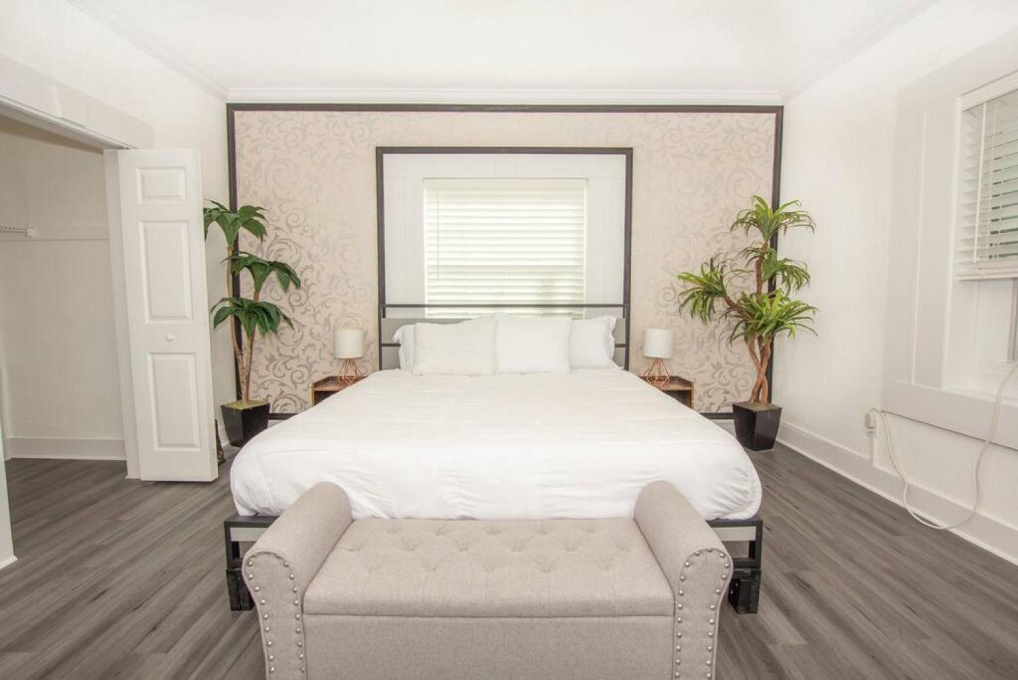 Modern Westshore タンパ エクステリア 写真